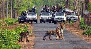 Jim Corbett Packages 2 Night 3 days