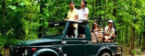 Jim Corbett family packages