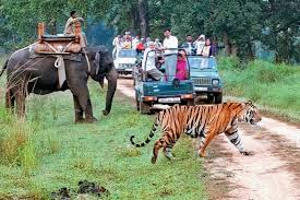 Jim Corbett packages from Delhi