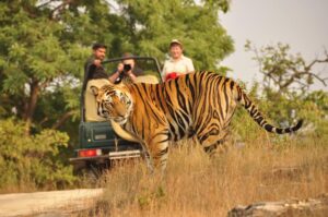 Jim Corbett tour plan