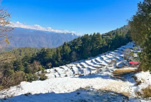 rishikesh tour package for family